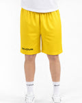 P018-0007 giallo
